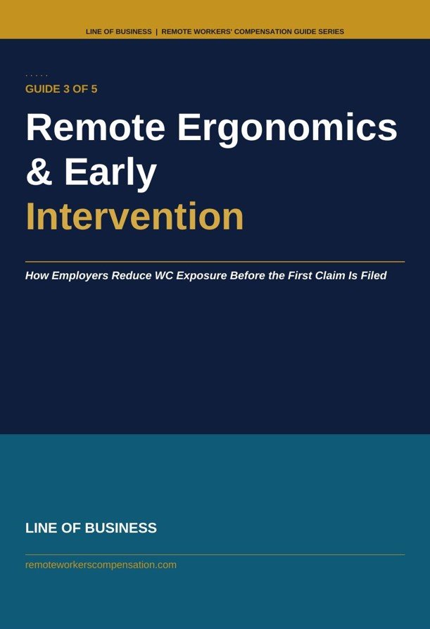 Guide 3 Remote Ergonomics